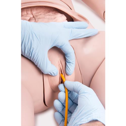 P10-1_09,1018816_3B_Scientific_Patient_Care_Maniki