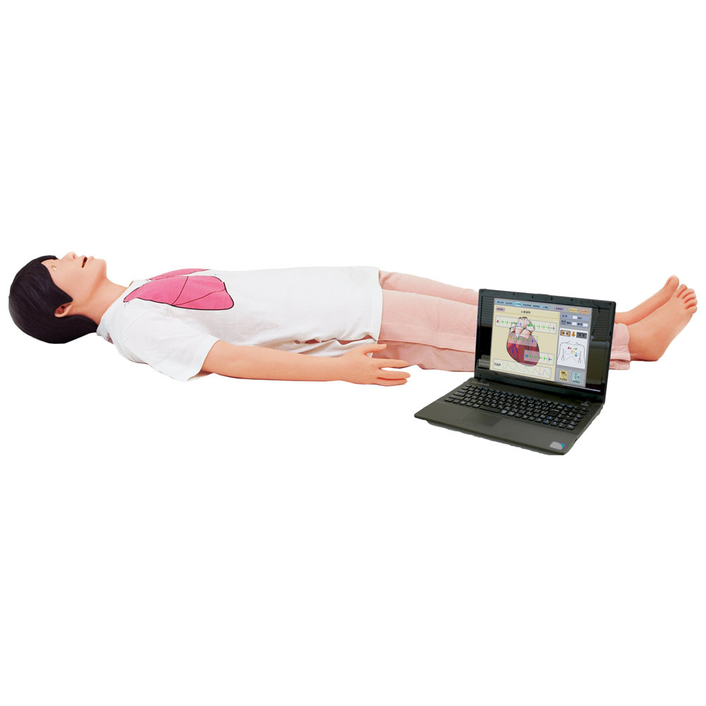 Physical Assessment Simulator Physiko Plus