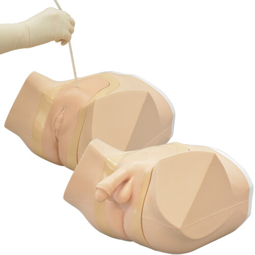 Suprapubic Catheter Care Simulator