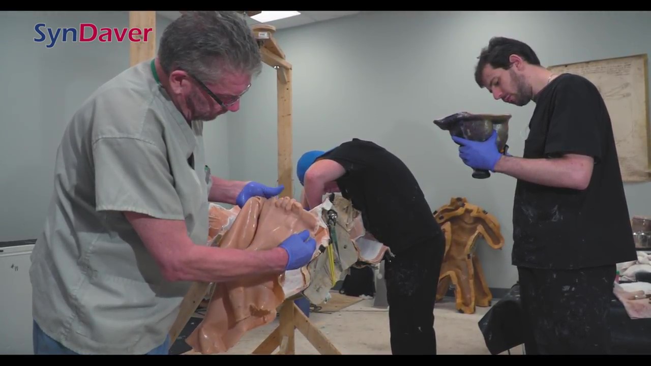 The SynDaver Synthetic Human - Anatomy Model_Moment