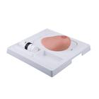 SONOtrain Breast model with tumours