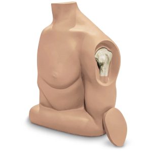 Humerus Intraosseous (IO) Trainer - Life/form®