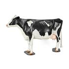 Holstein Model Dystocia Simulator