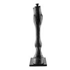 Equine Radiology Limb with Stand