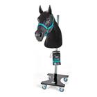 Equine Neck Venipunture and Intermuscular Injection with Stand