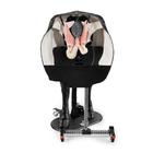 Hereford Advanced Bovine Theriogenology Model, Black