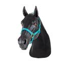 Equine Neck Venipuncture and Intermuscular Injection