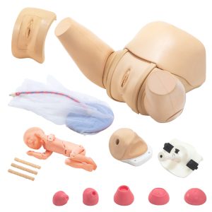 MW40  Obstetric Training Simulator -complete set-