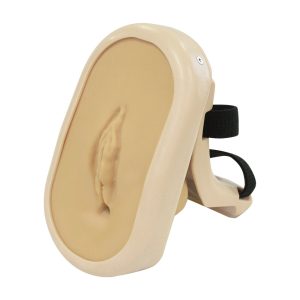 MW75  Pelvic Organ Prolapse Trainer "Utena"