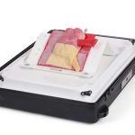 Vermiform Appendix - Normal Anatomy