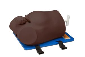 Debra Enhanced® - Impacted Fetal Head Simulator, Dark