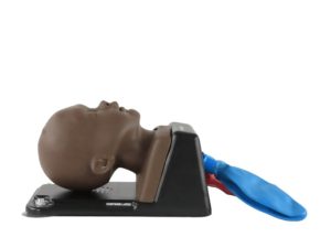AirSim® Baby X