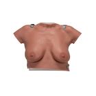 Wearable Breast Self Examination Model, Light Skin