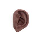 3B Acupuncture Ear, left, dark skin