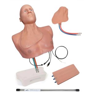 Regional Anesthesia and Vascular Access Training Package with SmarTissue and Articulating Head