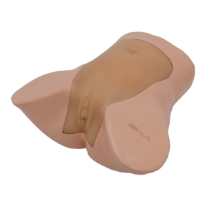 Ectopic Pregnancy Ultrasound Examination Model (Skin tone) MU-E-OBGY02-MNS
