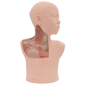 Pediatric CVC Ultrasound Model (Transparent, Auto pump) MU-E-PEDCVC-MAT