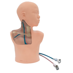 Pediatric CVC Ultrasound Model (Transparent, Hand pump) MU-E-PEDCVC-MHT