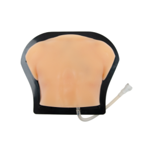 Pediatric Cardiac Examination Ultrasound Model (Skin tone) MU-E-PHEA-MNS