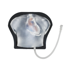 Pediatric Cardiac Examination Ultrasound Model (Transparent) MU-E-PHEA-MNT