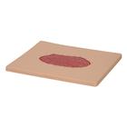 Skin Graft Wound Board, light