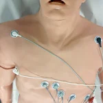 Zoll 12-Lead Arrhythmia Simulator with Manikin Overlay, Large
