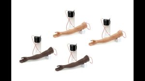 Standard Venipuncture Arm Value Pack (Light & Dark Skin Tone)