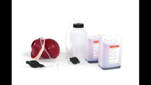 Postpartum Hemorrhage Module - PROMPT Flex