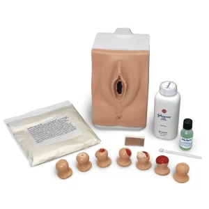 Cervical Exam and Pap Smear Test Trainer - Light