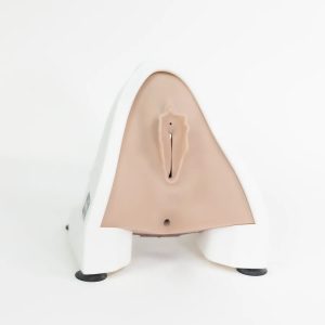 Perineal Repair Trainer