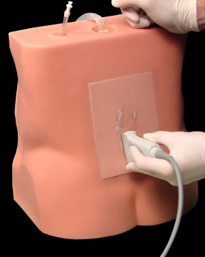 Lumbar Puncture Trainer