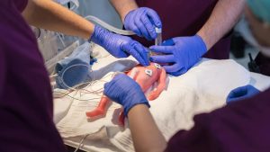 Paul - Deliver highly realistic neonatology training