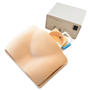 Femoral Arterial Puncture Trainer