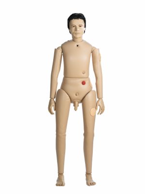 AR2000 Superior Male Bedford Doll, Light