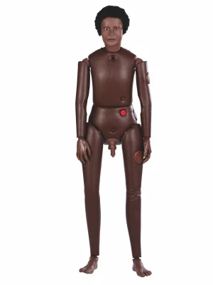 AR2000-B Superior Male Bedford Doll, Dark