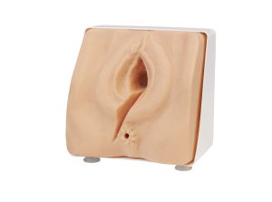 AR312 Episiotomy Suturing/Perineal Repair Trainer