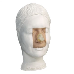 AR361 Rhinoplasty Model