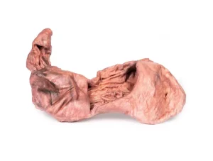 Stomach